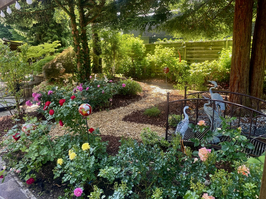 Neuanlage Rollrasen 4